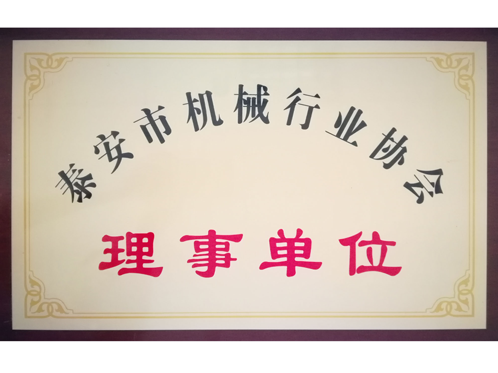 泰安市機械行業(yè)協(xié)會(huì )理事單位